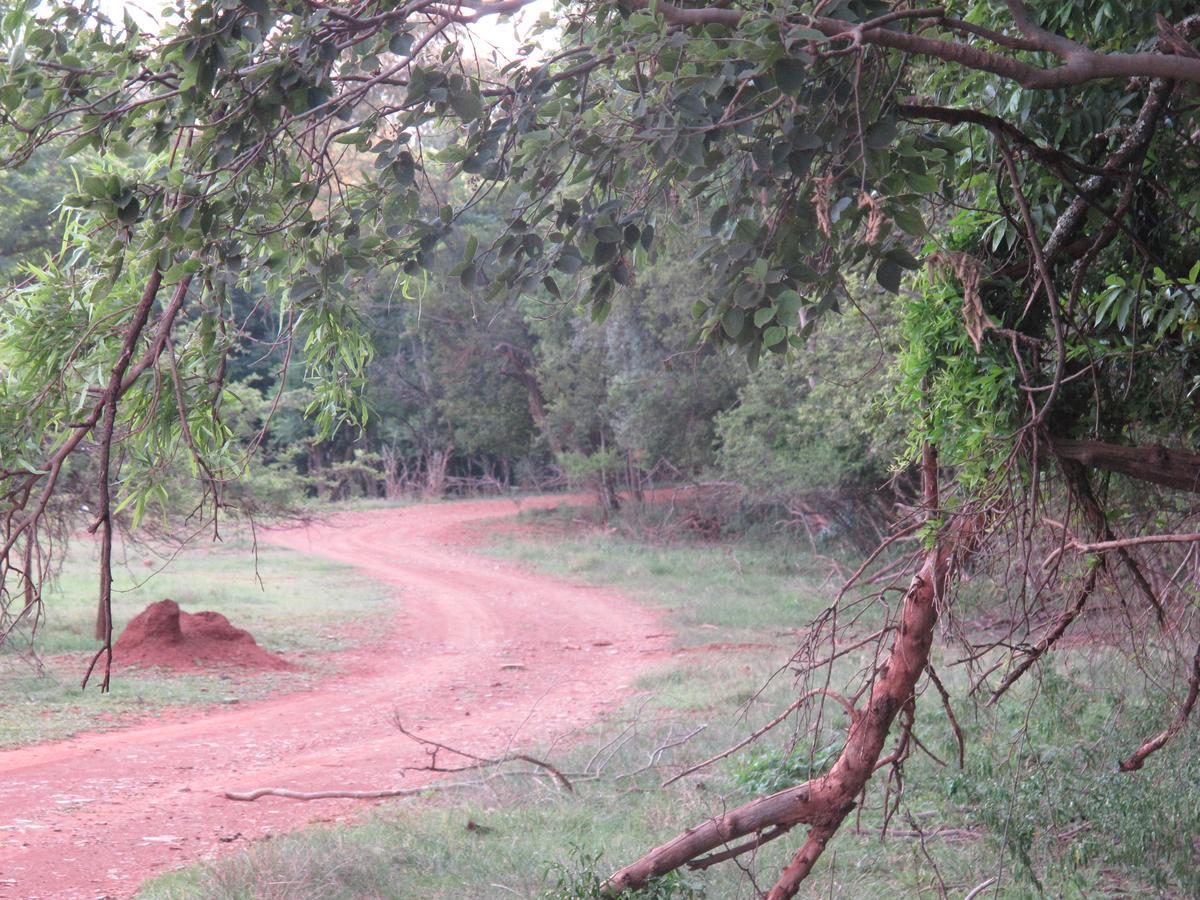 Harties Is Africa Safari Lodge Kosmos Kültér fotó
