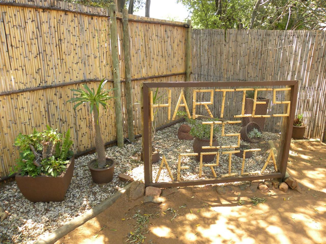 Harties Is Africa Safari Lodge Kosmos Kültér fotó