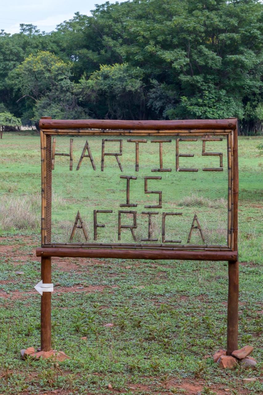 Harties Is Africa Safari Lodge Kosmos Kültér fotó