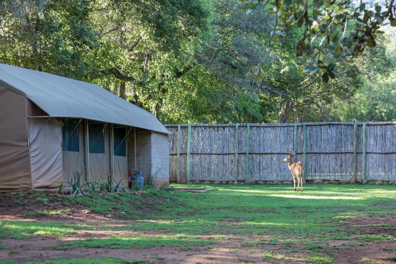 Harties Is Africa Safari Lodge Kosmos Kültér fotó