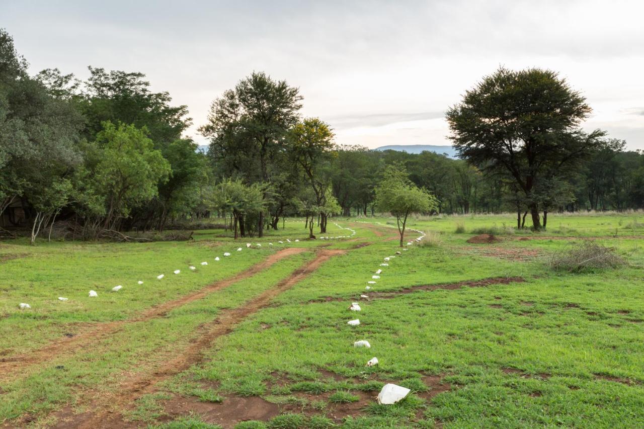 Harties Is Africa Safari Lodge Kosmos Kültér fotó