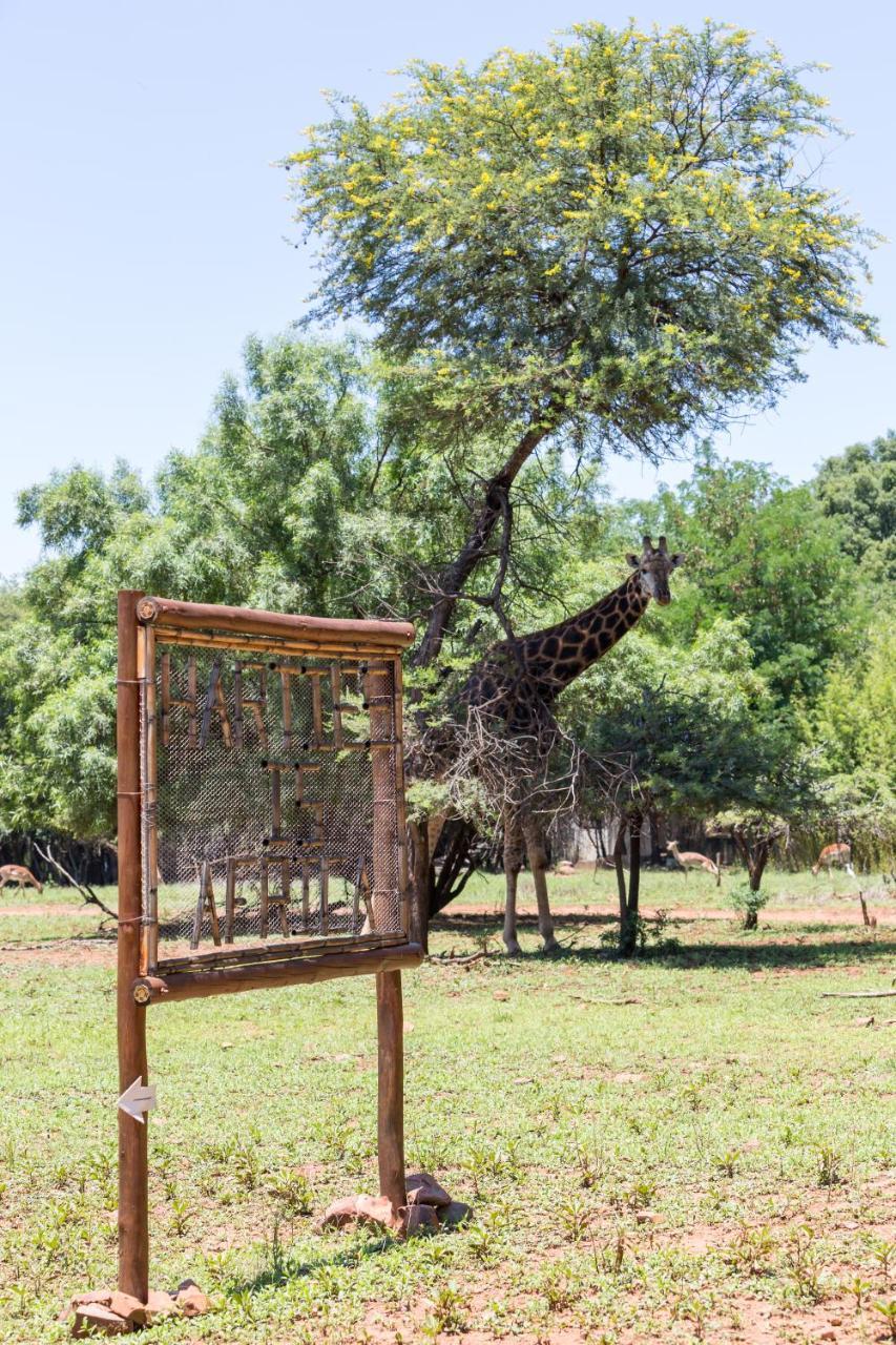 Harties Is Africa Safari Lodge Kosmos Kültér fotó